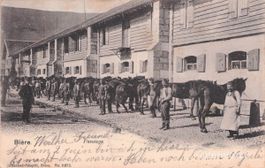 Militär // 1904 Bière VD Kaserne Pansage Striegeln Pferde