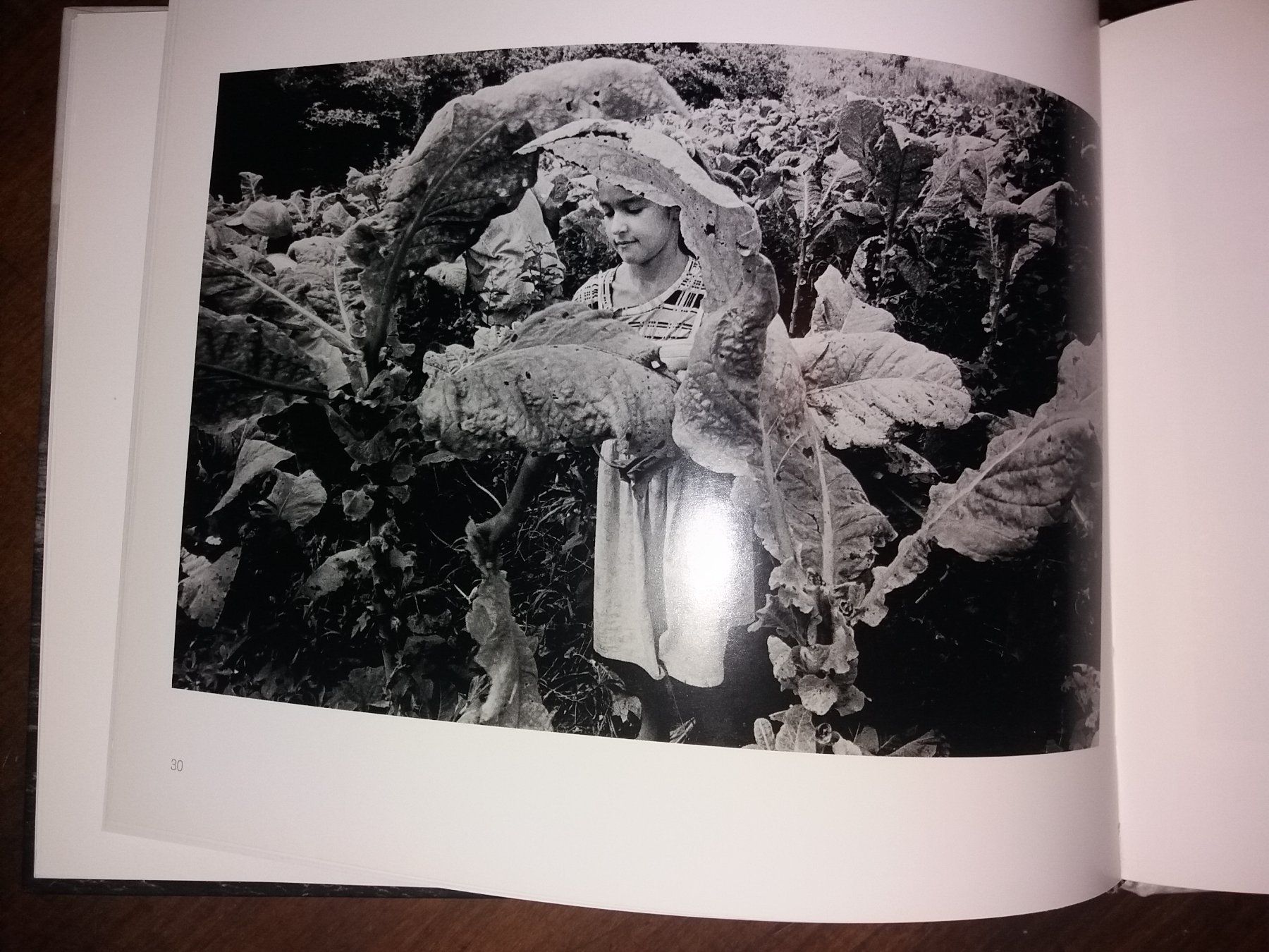 Bücher: FOTOKLASSIK Presagio Dani Yako – Gebraucht aus Welschenrohr von Regool 3
