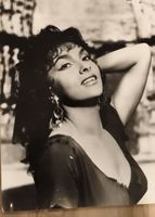Photographie ancienne actrice Gina Lollobrigida 