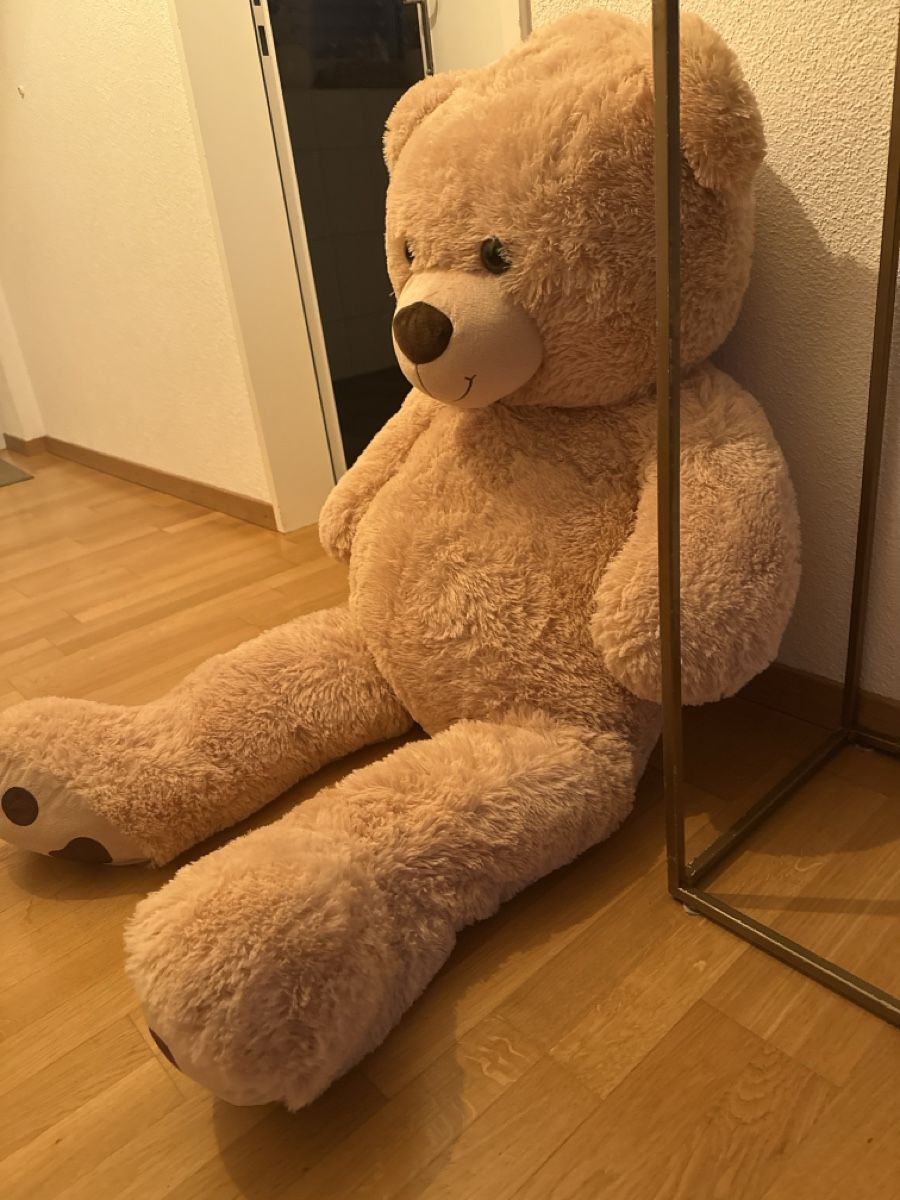 Giocattoli: XXL TEDDYBÄR (150cm)  – Nuovo e nell'imballaggio originale da Bülach venduto da alb_2tvf 2