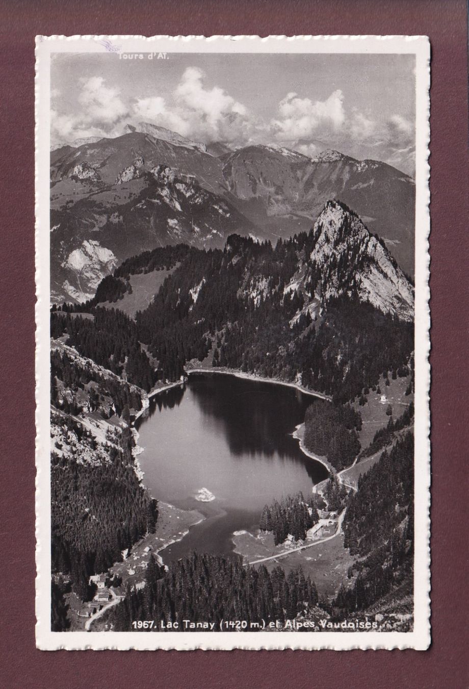 Cartoline postali: LAC TANAY - Alpes vaudoises – Usato da Pully venduto da nicecards