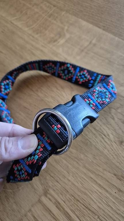Guinzagli & Collari: Hundehalsband – Usato da Zuerich venduto da Manu_bu