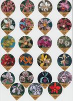 Deutschland, 35 Orchideen Plastik