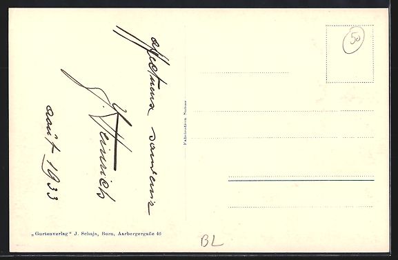 Cartoline postali: AK Langenbruck, Die Pension Erika – Usato da Berlin venduto da bartko-reher 1