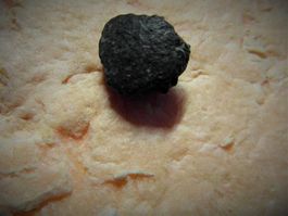 4,94 g Chondrite  Meteorit Meteorite NWA 869  MINI
