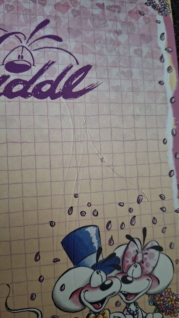 Blocs de correspondance: Diddl Block A5 – D'occasion à Wil SG par FionaSmile 1