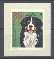 2007, 100 Jahre Berner Sennenhund **
