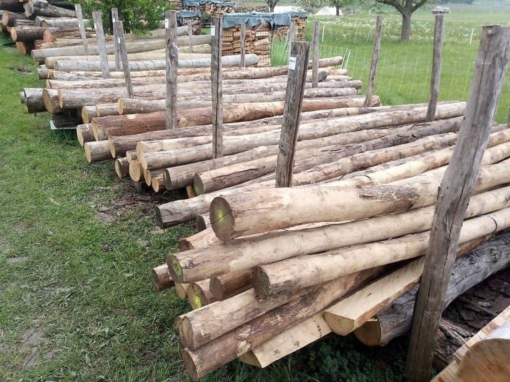 Holzartikel: Kastanienholz – Gebraucht aus Mettendorf TG von 892421 2