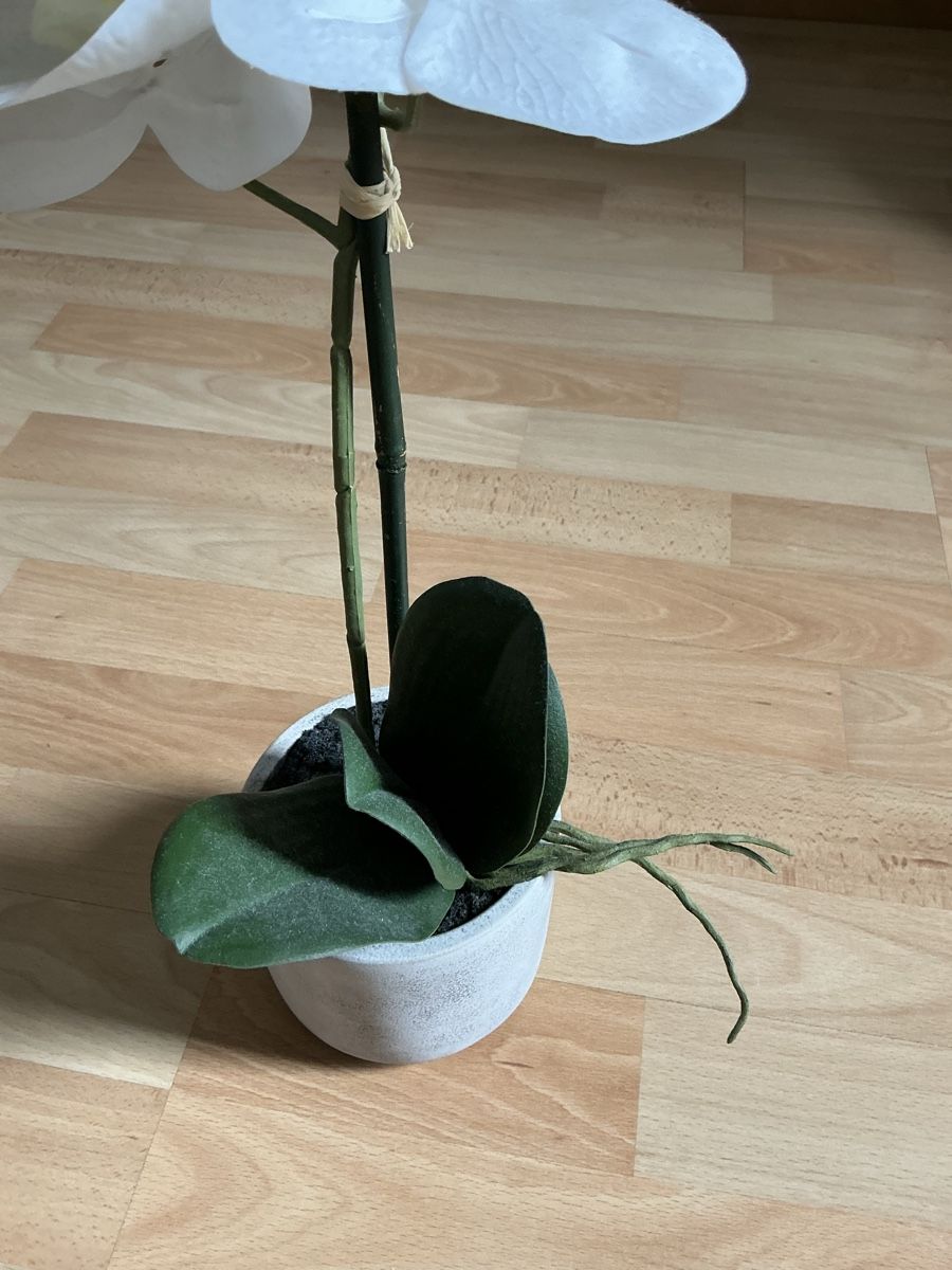 Manor Tutte le decorazioni: Blume – Nuovo (secondo la descrizione) da St.Gallen venduto da nat_7n75 1