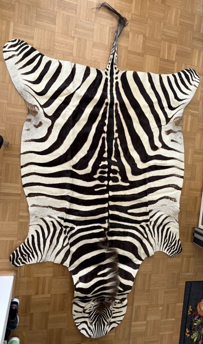 Tutte le decorazioni: Zebrafell aus Kenia – Usato da Winterthur venduto da E.Una