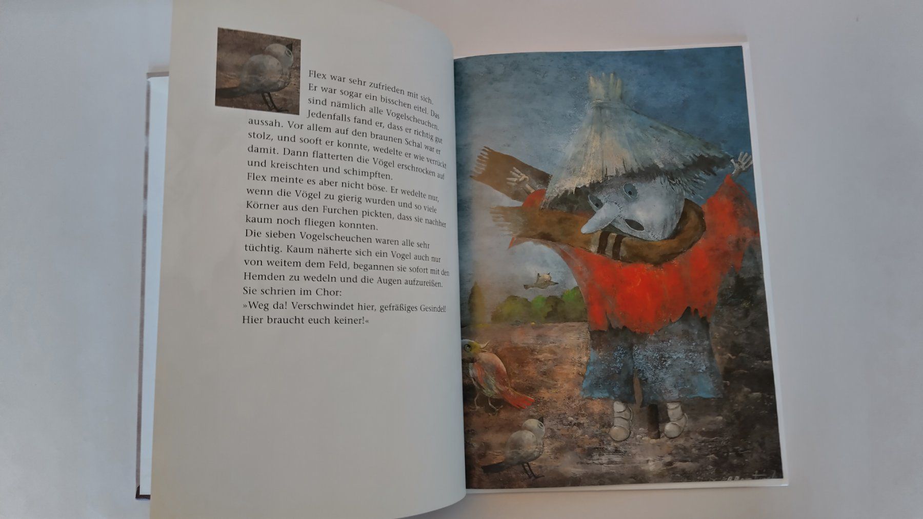 Livres: Die sieben Vogelscheuchen / Bilderbuch 1998 ab Fr. 10.- – D'occasion à Bellach par JingleJerry 4