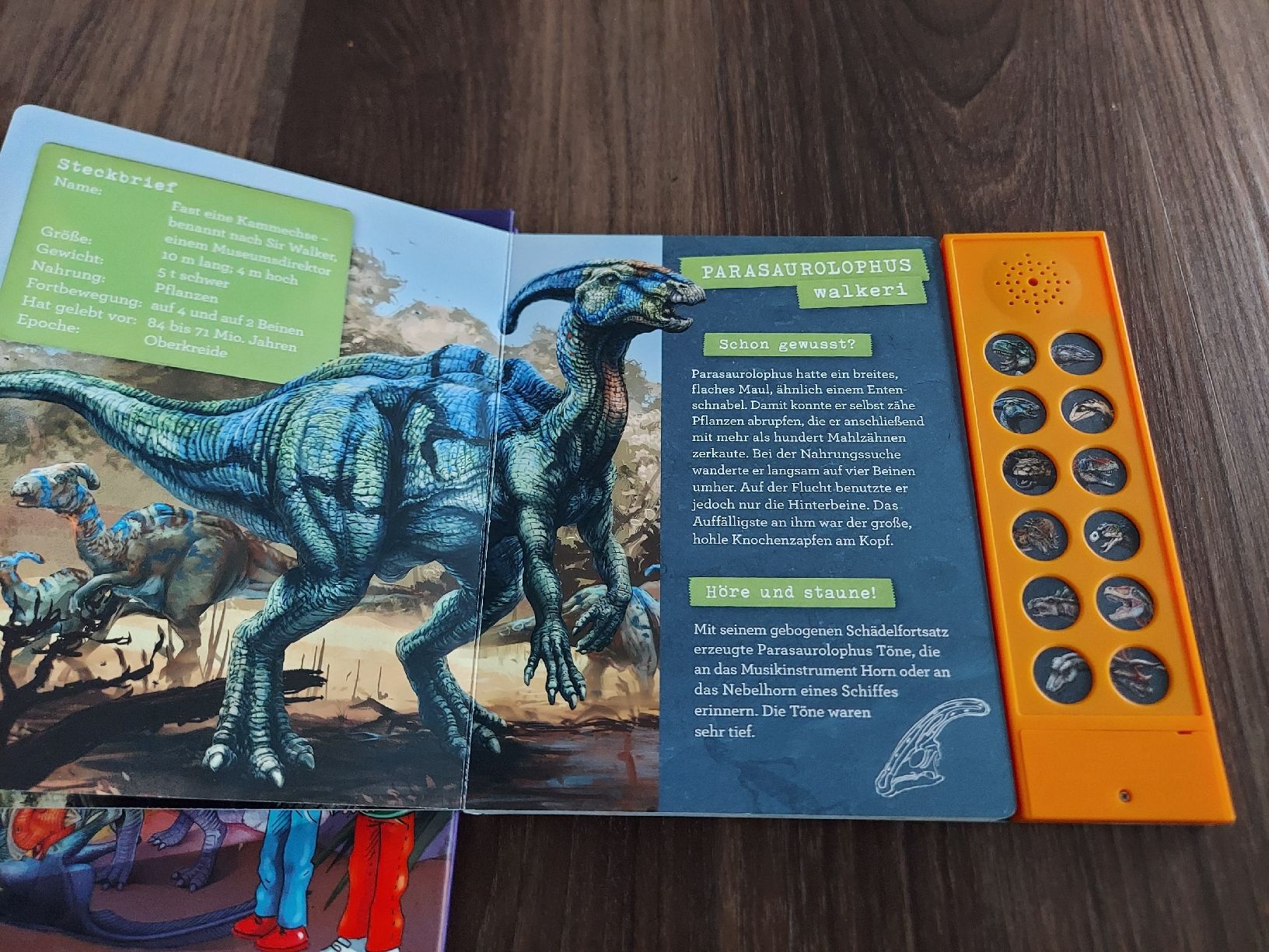 Libri: 2x Dinosaurier Bücher – Usato da Altishofen venduto da tammy05 2