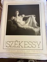 SZEKESSY Karin Ausstellungsplakat New York