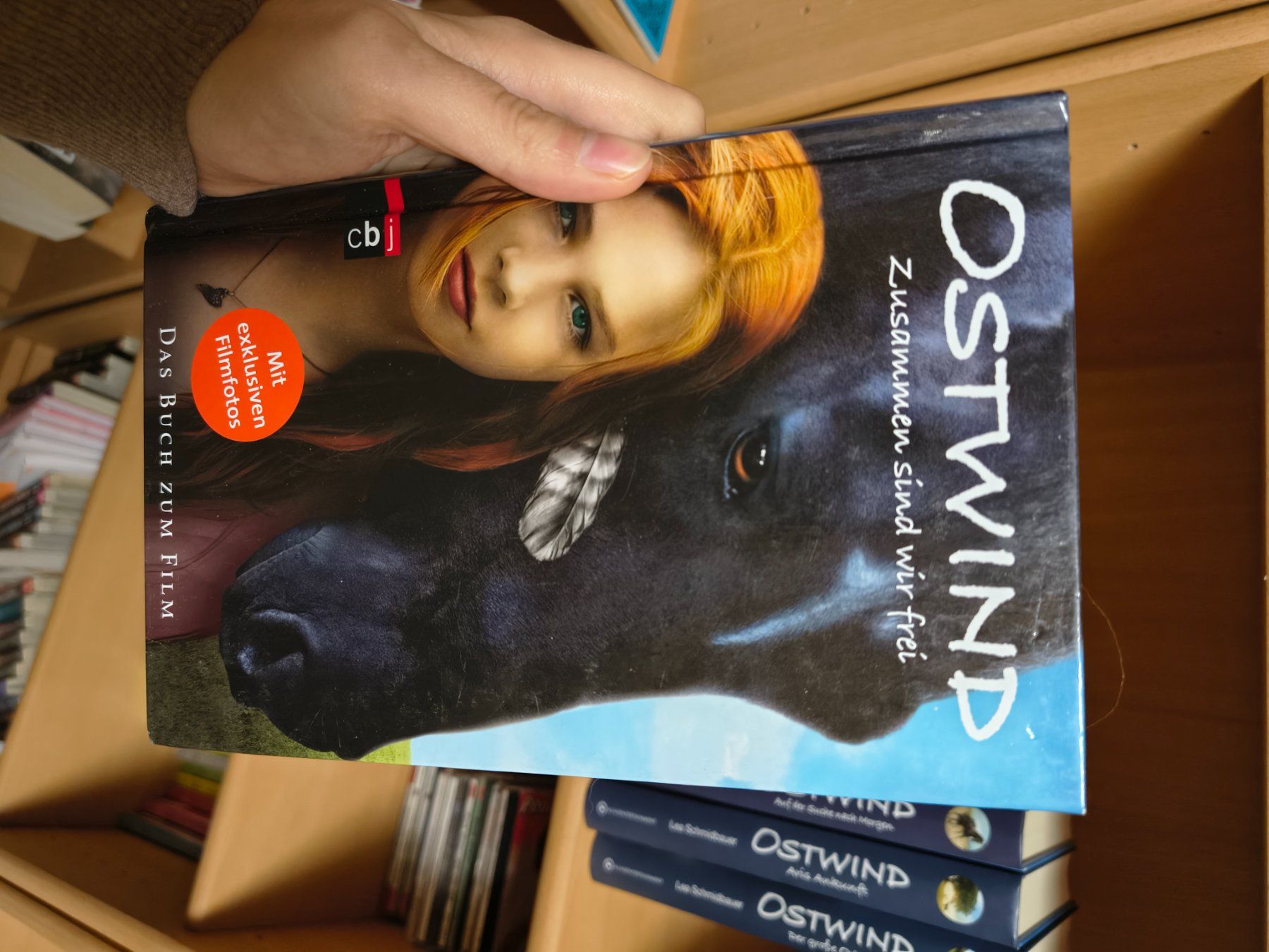 Libri: Ostwind Band 1-6 – Usato da Binz venduto da Shizuka01 2