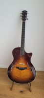 Taylor T5-S1 Thinline Electric Hollowbody Gitarre