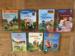 7 Kinderbücher, Bullerbü Pferdehof Piratentochter, gem. Foto