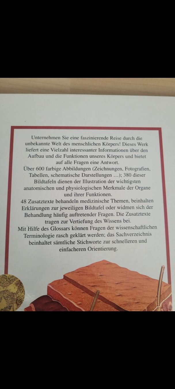 Bücher: Anatomie Buch wie neu – Gebraucht aus Neuhausen von eliana2 2
