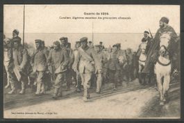 Carte P 1914 ( Cavaliers Algériens & prisonniers Allemands )