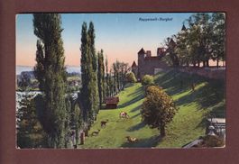RAPPERSWIL - Burghof