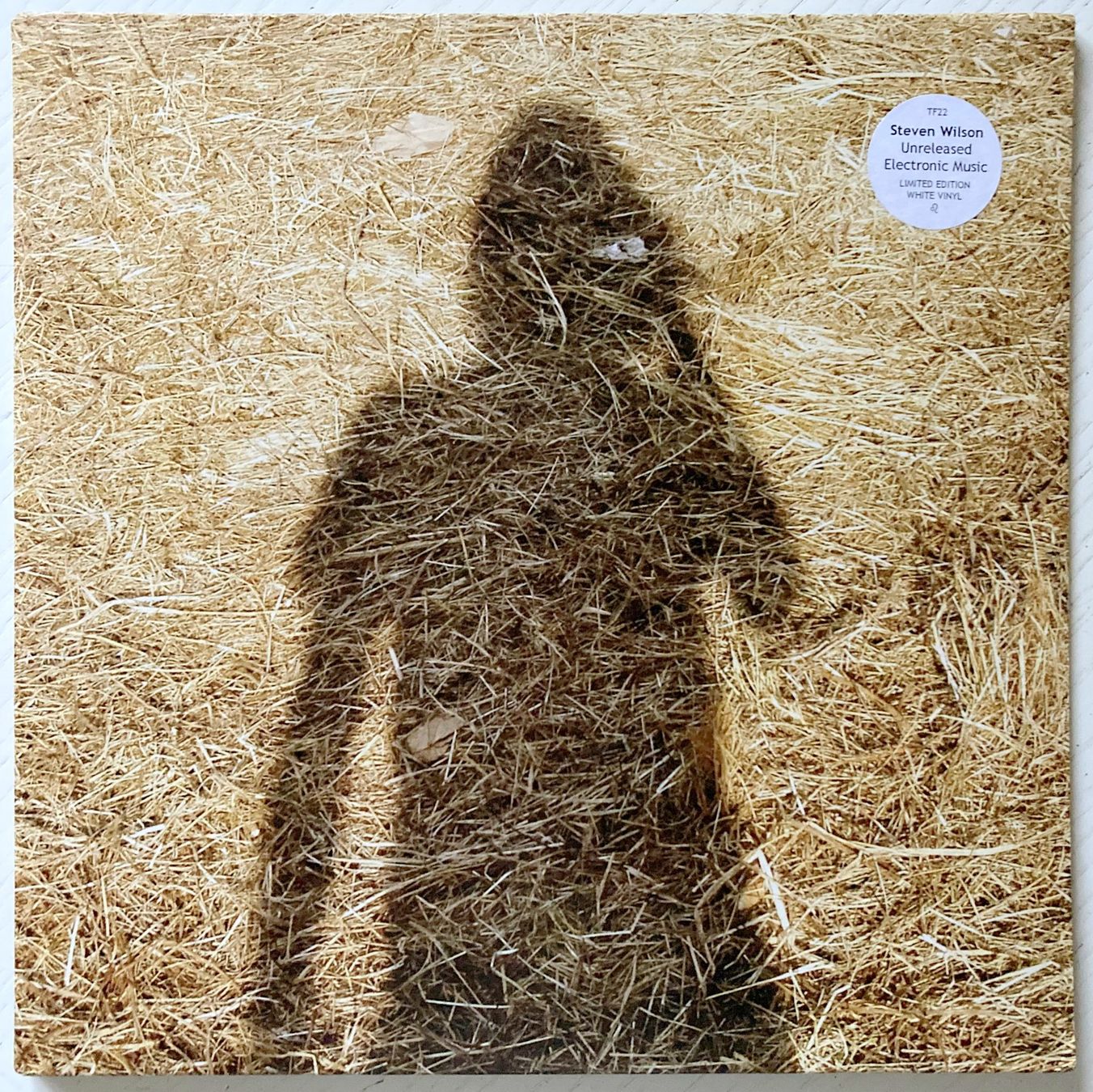 Dischi in vinile: PORCUPINE TREE / STEVEN WILSON - UNRELEASED ELECTRONIC MUSIC – Usato da Bottens venduto da hotter-than-hell 2