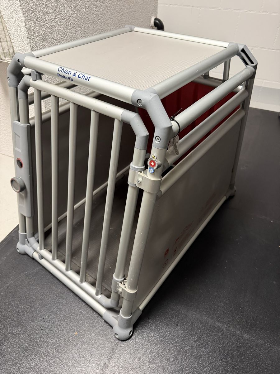 Gabbie, trasporto & Sicurezza: Hundetransportbox – Usato da Busswil BE venduto da Leuzmo 1