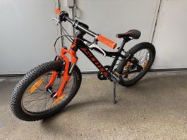 Scott Scale 20 Zoll