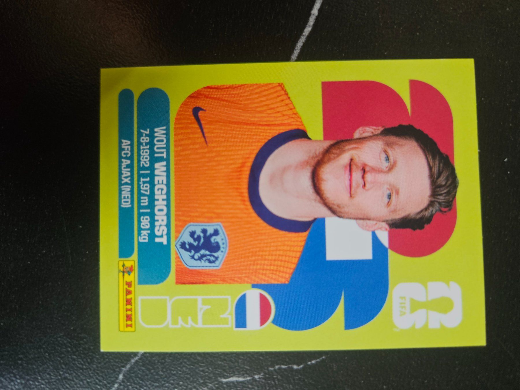 Panini Cartes à collectionner: NED 19 – D'occasion à Würenlingen par Dinli