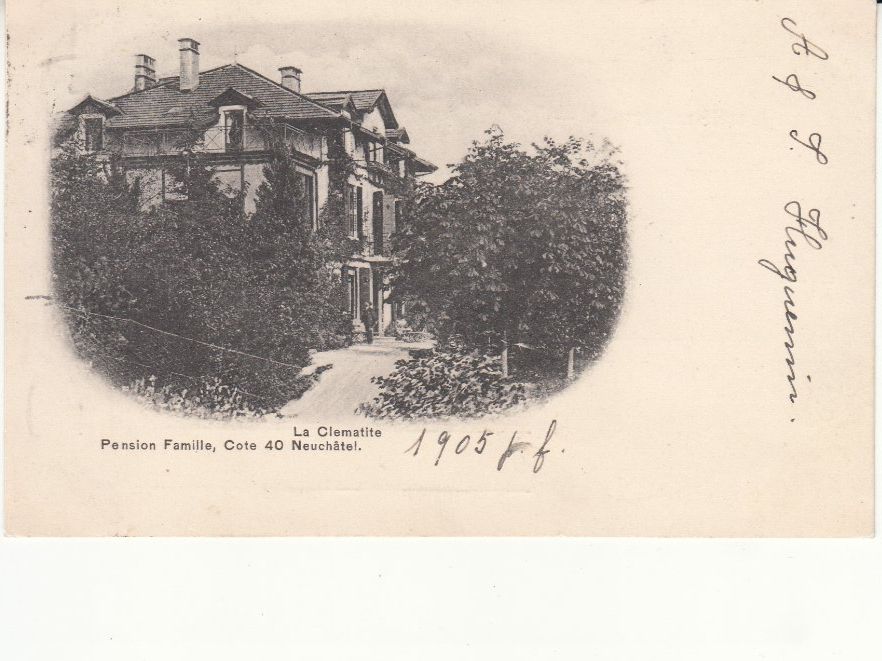 Cartoline postali: Neuchâtel La Clematite 1904 – Usato da Bürglen TG venduto da StampGraf