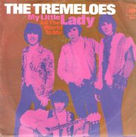 The Tremeloes - My Little Lady