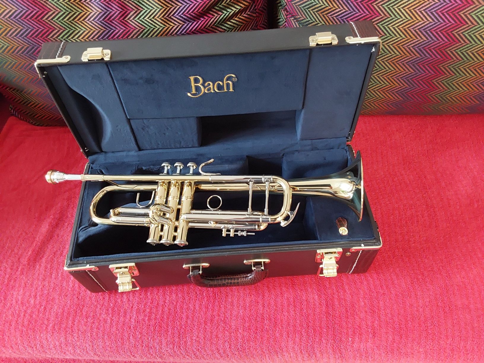 Strumenti musicali: Trompete Bach Stradivarius – Nuovo (secondo la descrizione) da Reinach AG venduto da son_6trr 1
