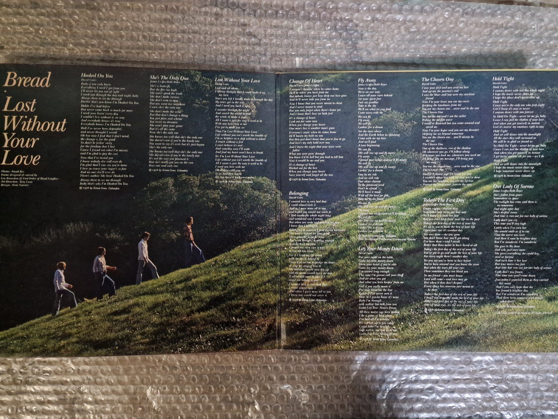Dischi in vinile: Bread LP – Lost Without Your Love – Usato da Root venduto da atelier22 1