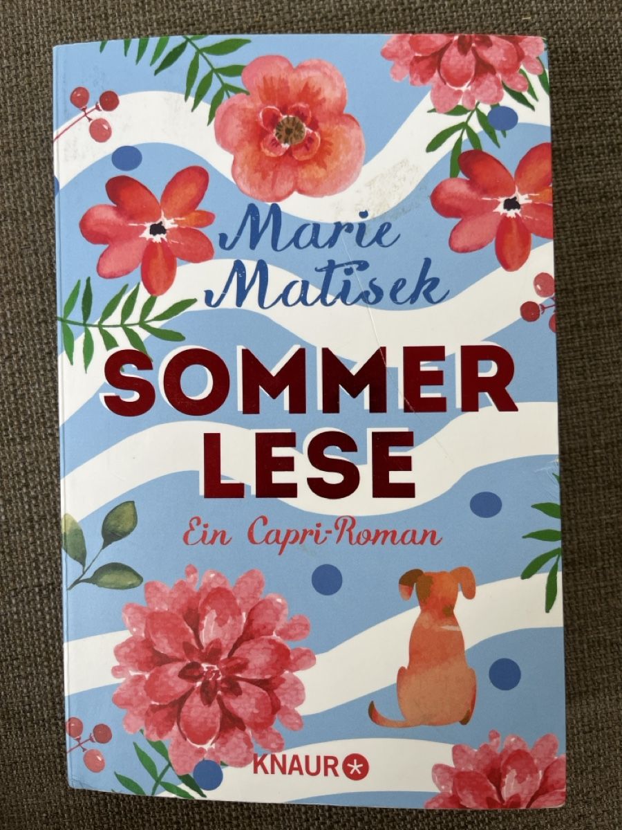 Libri: Buch: Sommerlese - Ein Capri-Roman – Usato da Seuzach venduto da anina.k