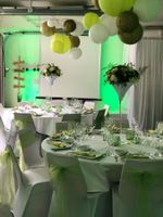 50 Stuhlschleifen hellgrün Organza