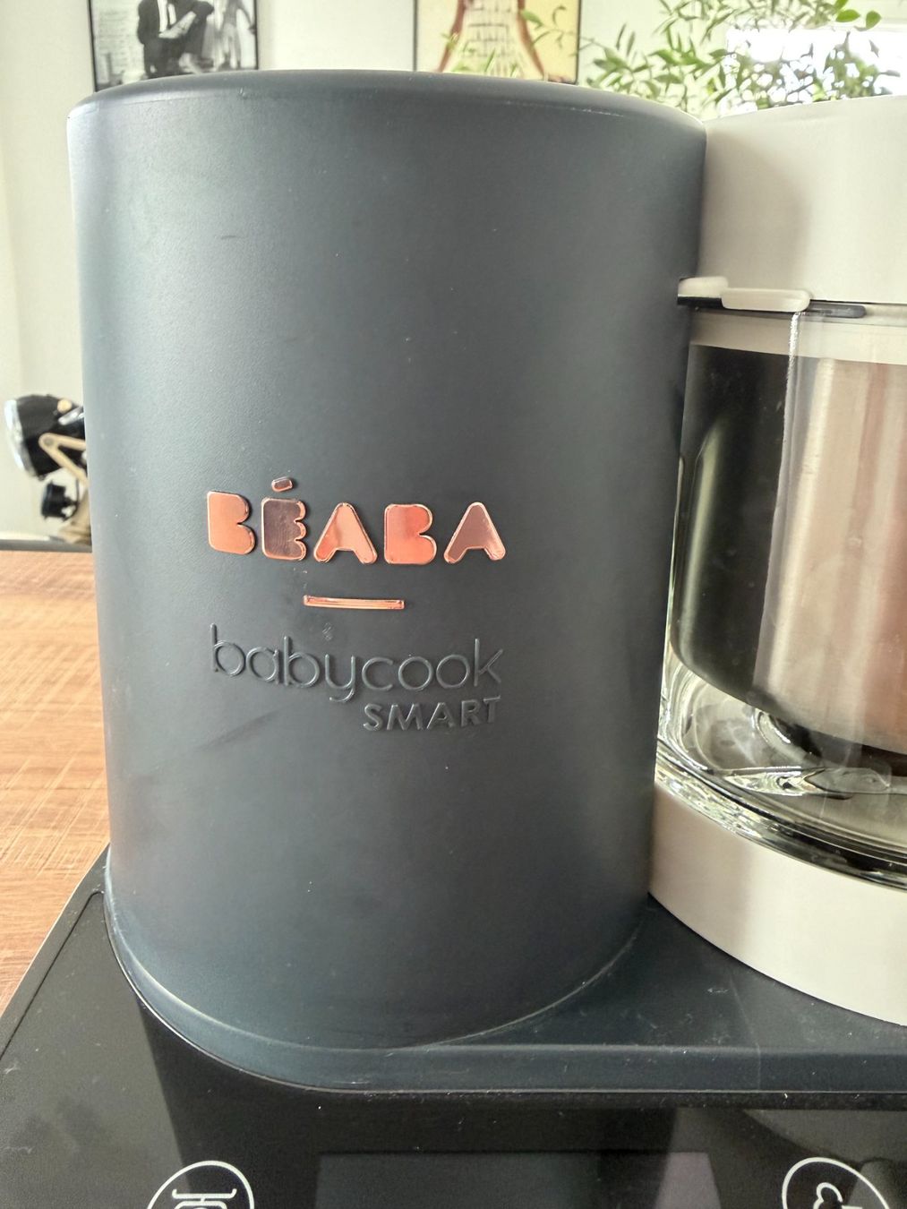 Béaba Elettrodomestici da cucina: BEABA BABYCOOK SMART – Nuovo (secondo la descrizione) da Bernex venduto da Anais-J 3