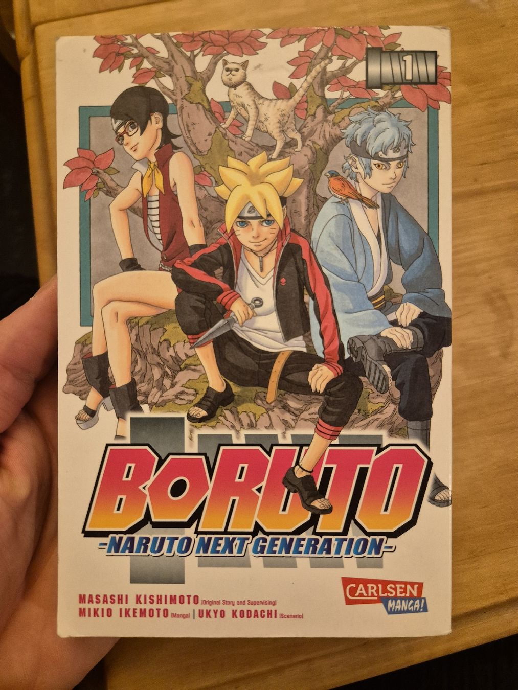 Comics: Boruto Band 1 – Gebraucht aus Zürich von din_k6rt