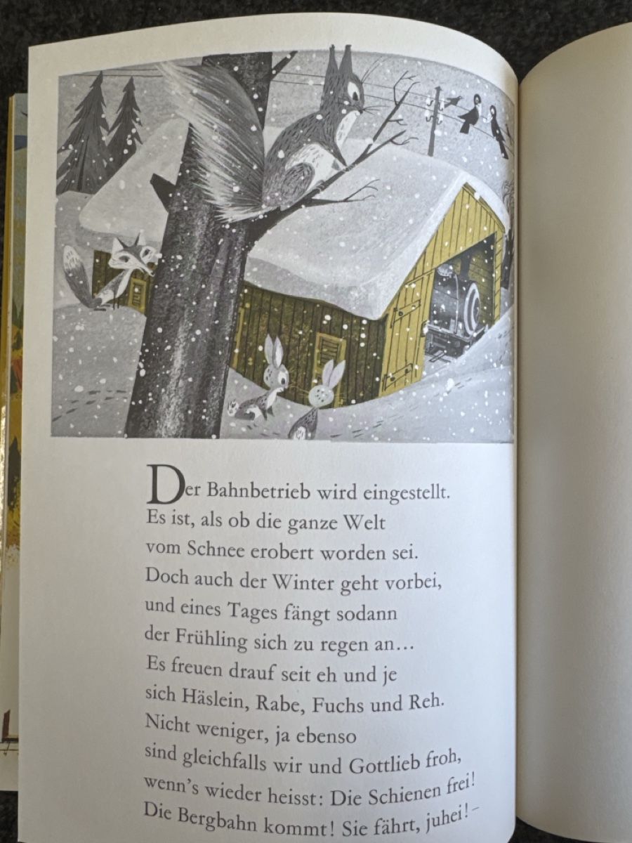 Libri: DIE BERGBAHN Moritz Kennel Rigibahn illustr. Jugendbuch – Usato da Eschenz venduto da Belladog 9