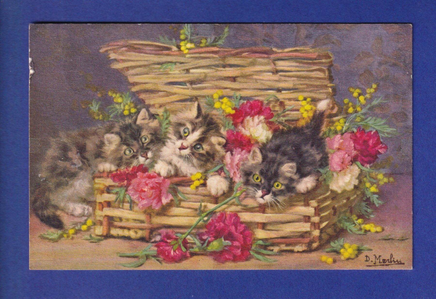 Ansichtskarten: CHAT - Corbeille de chatons et fleurs - D. Merlin – Gebraucht aus Pully von nicecards-shop
