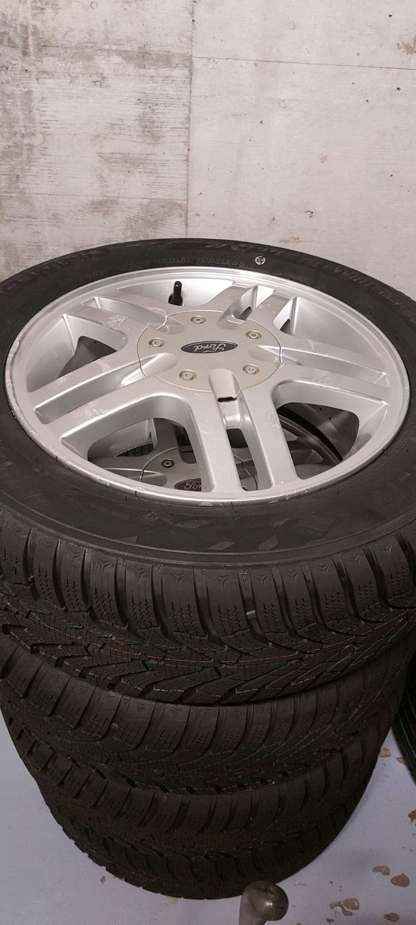 Ford Pneumatici & Ruote complete: FORD Winter Kompletträder – Usato da Ettingen venduto da Bike-Your-Life