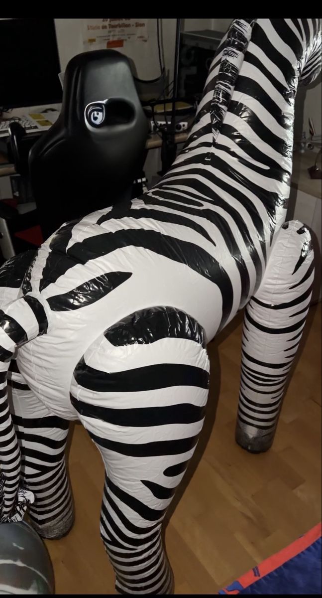 Salvagente: Aublasbare inflatable jet creation zebra – Usato da Le Locle venduto da boe_d6hd 2