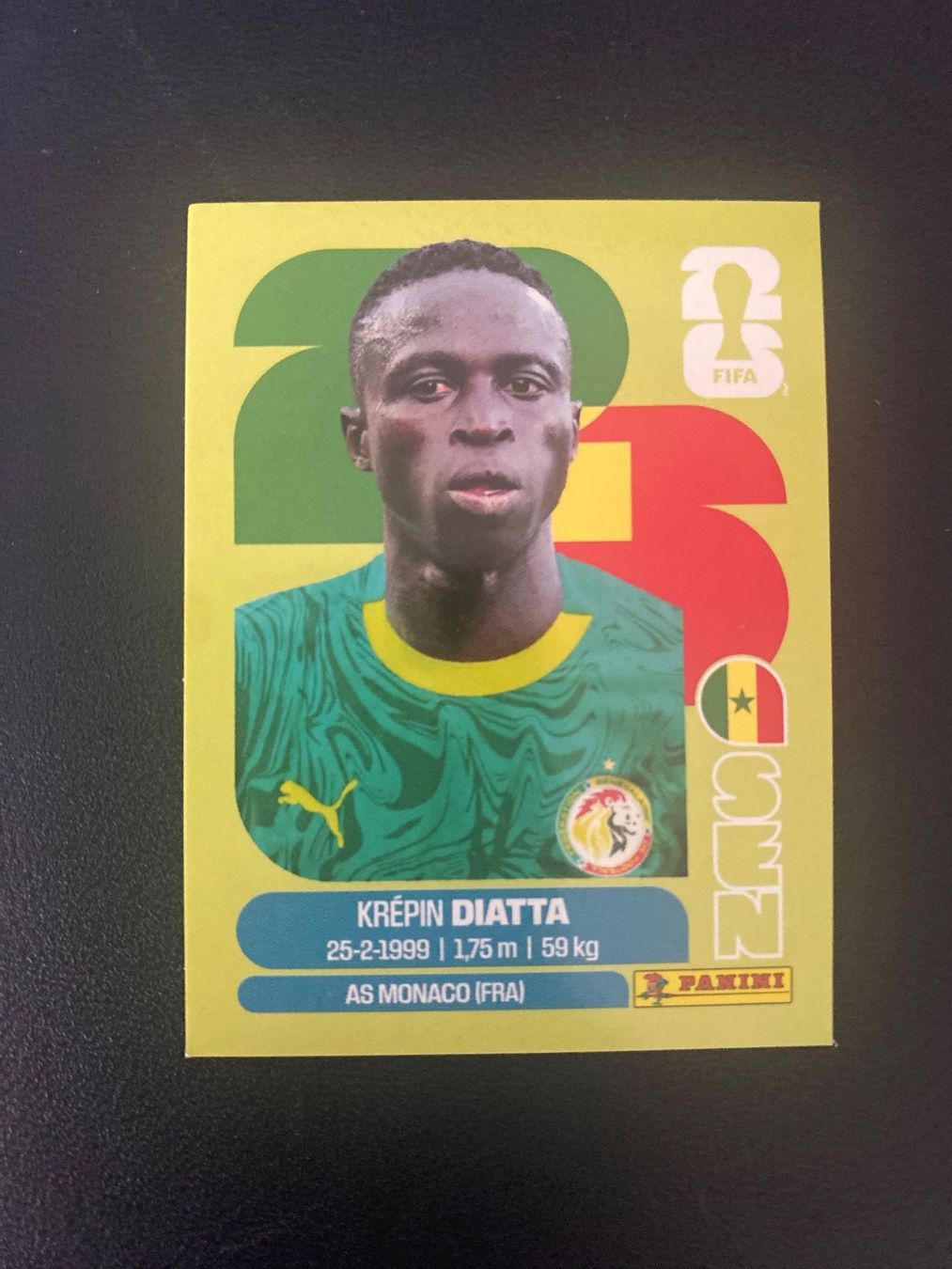 Panini Carte collezionabili: Panini FIFA World Cup Sticker SEN 20 – Nuovo (secondo la descrizione) da Glattbrugg venduto da riseca