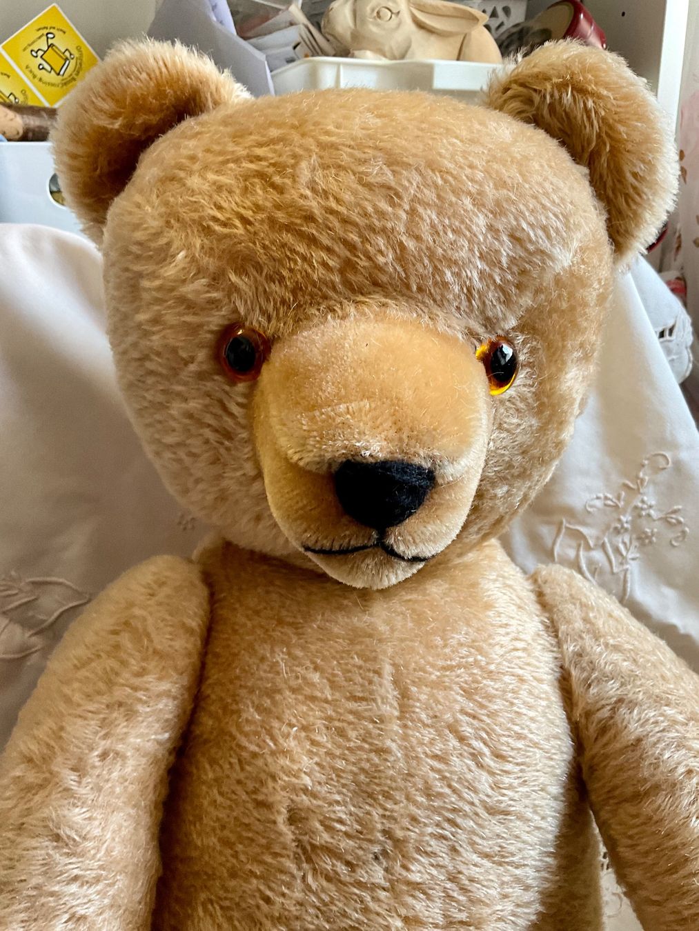 Teddy Hermann Jouets: Teddy Bär – D'occasion à Herisau par eri_2tb5 1