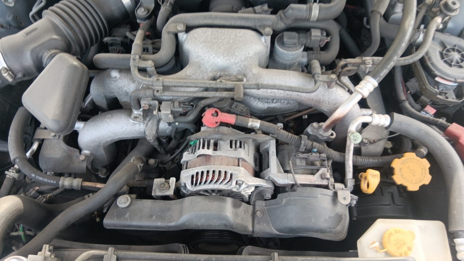 Subaru Automobili: Subaru Forester 2.0 X 4x4 – Usato da Rebstein venduto da TonyRasta-Autohandel 9