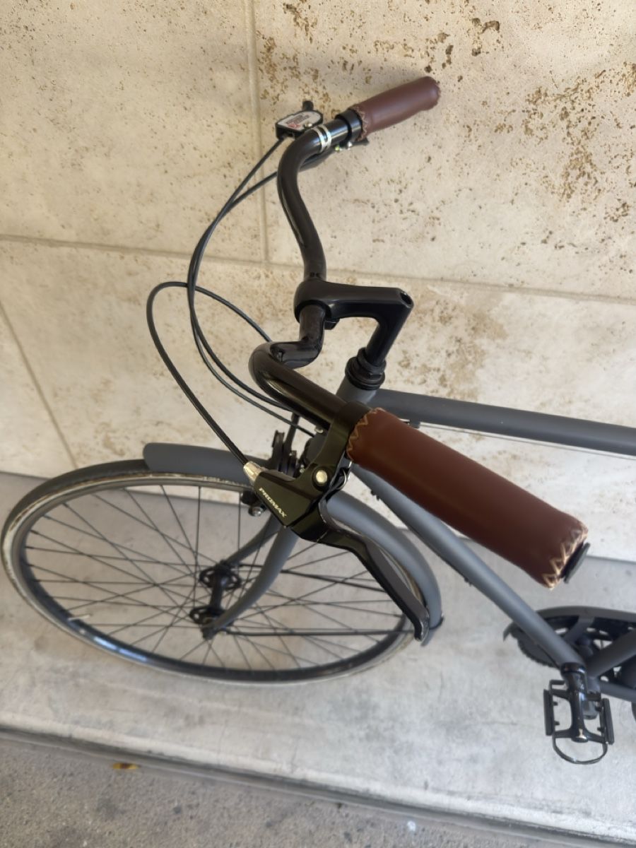 Siech Velos: Siech Bike dark grey – Gebraucht aus Zürich von Yoni_29 4