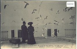 Au bord du Lac Leman - Les Mouettes - Möven