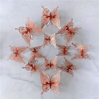 12Stk. 3D Schmetterling Wand Aufkleber