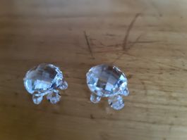 Swarovski Figur Baby Schildkröten Neu und OVP 