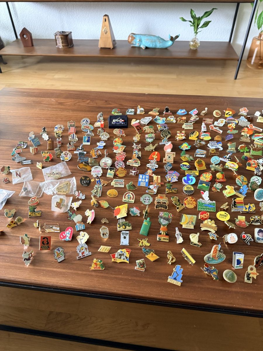 Swiss Plaketten & Abzeichen: PIN - Sammlung – Gebraucht aus Solothurn von NUVICO 8