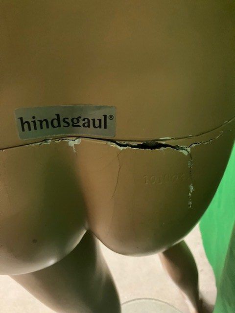 Altro in Decorazioni & Accessori: Schaufensterpuppe Dame " Hindsgaul" – Usato da Ehrendingen venduto da Silberpudel 3