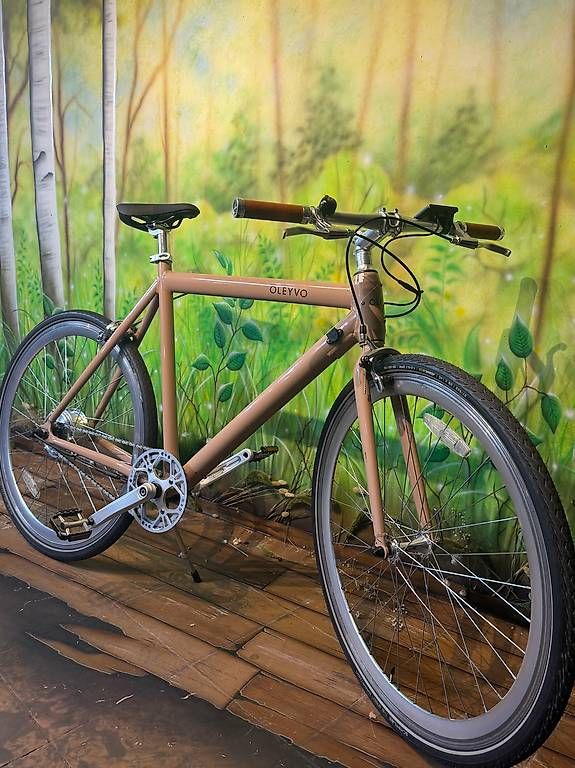 Velos: OLEYVO E-Bike – Gebraucht aus Rüti ZH von wetzikon59 2