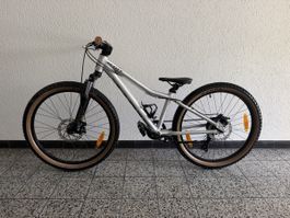 Scott Scale jr 24